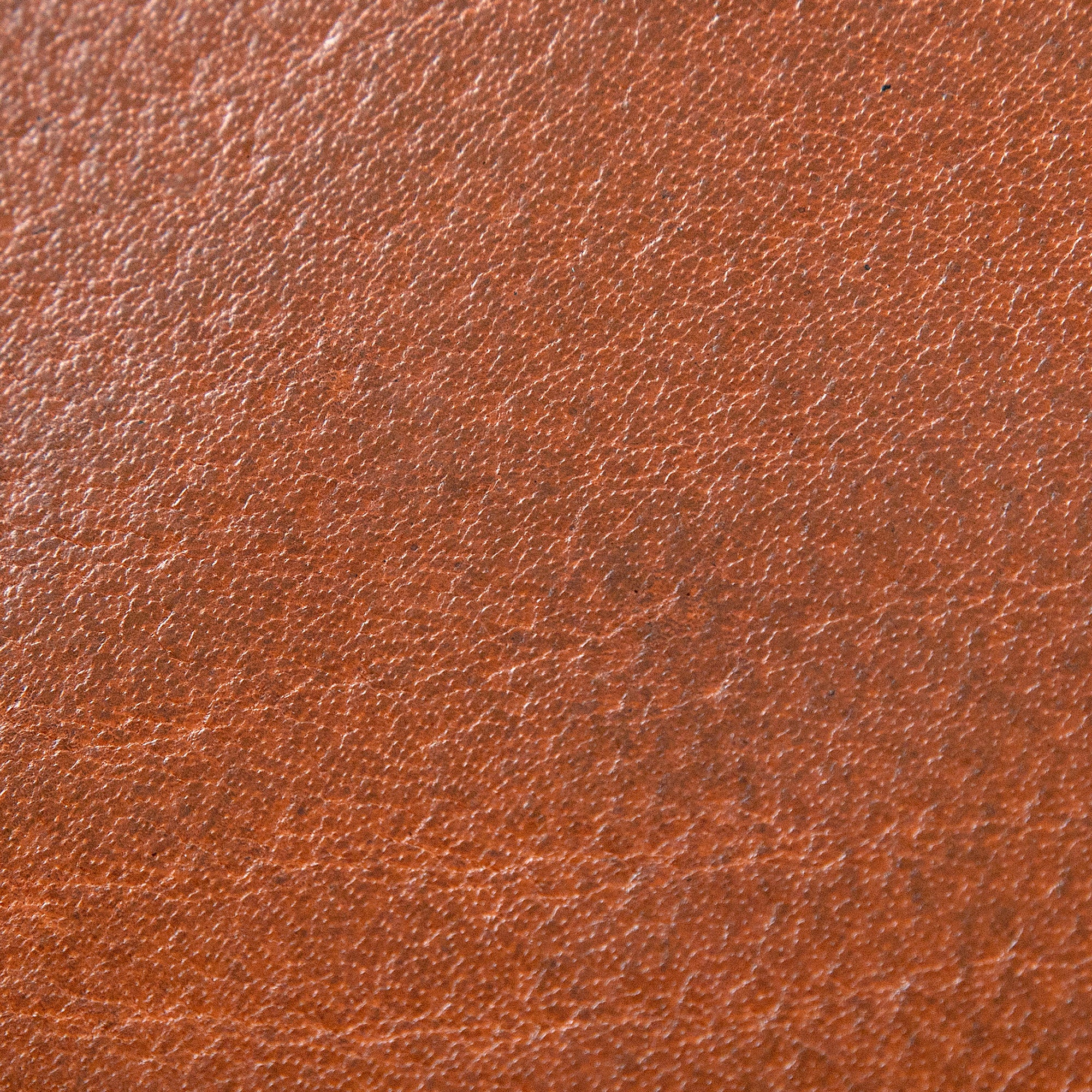 Pike Leather Passport Wallet | Phokion Brown - Image 3
